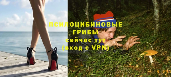 PSILOCYBIN Нязепетровск