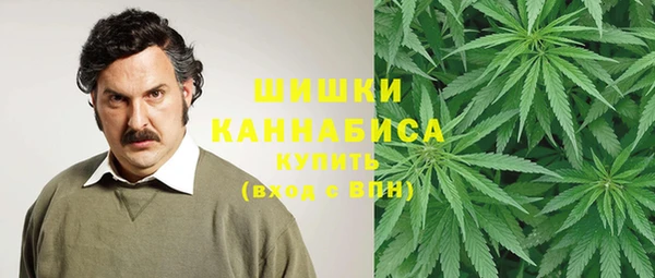 ПСИЛОЦИБИНОВЫЕ ГРИБЫ Нягань