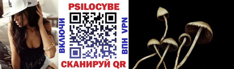 купить  цена  Энем  Псилоцибиновые грибы GOLDEN TEACHER 